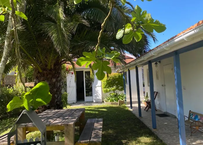 Typique Maison De Pecheur Semesterbostad